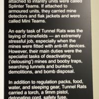 Vietnam Tunnel Rats 