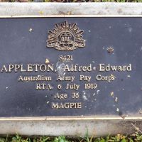 Alfred Appleton. Service No 8421. Tree No. 1