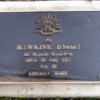 Edward Hawkins: Service No 961.  Tree No. 18