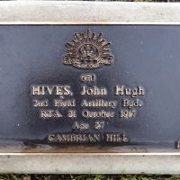 John Hives: service No 670. Tree No. 19.