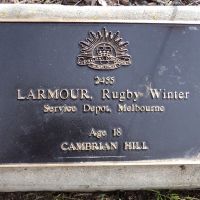 Rugby Winter Larmour: Service No. 2455. Tree No 25.