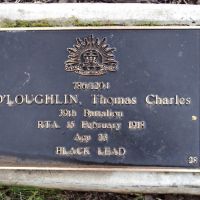 Thomas O'Loughlin: Service Number 786/1204 Tree No. 28