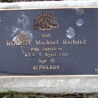 Michael Roche: Service No 3895. Tree No 33.
