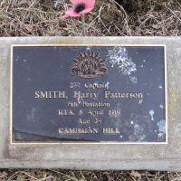 Captain Harry Patterson Smith: Service No 277. Tree No. 36
