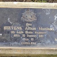 Albert Maitland Stevens: Service No 1344. Tree No. 39.