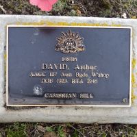 Arthur David: Service No.148716. Tree No 47.