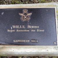 Norma Wills: RAAF WW11. Tree No 55