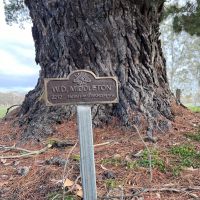 Memorial plaque - Middleton