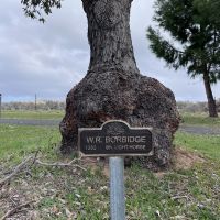 Memorial plaque - Borbidge