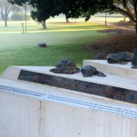 Maryborough Gallipoli to Armistice War Memorial Artefacts of War