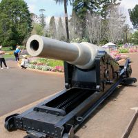 Queensland Government Ship "Otter" Muzzle Loading Gun