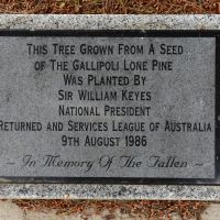 The plaque recognising the planting by Sir William Keyes