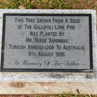 The plaque recognising the planting of the Gallipoli pine by Mr Faruk Sahinbas, then-Turkish Ambassador to Australia, in 1986