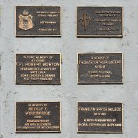 Individual plaques