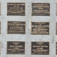 Individual plaques