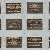 Individual plaques