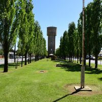 Nathalia Avenue of Honour, looking north