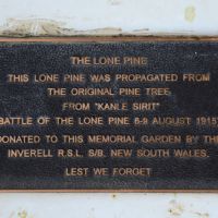 The plaque marking the Lone Pine tree within the Garden