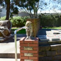 Lions sit on plinths either side of the steps leading to the sculpture