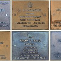 Composite image of individual plaques, in alphabetical order