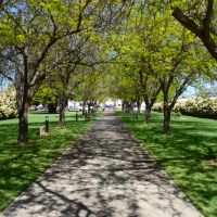 The Kyabram Memorial Walkway