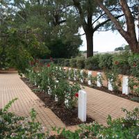 Cowra War Cemetery Australian Soldiers Gravesites