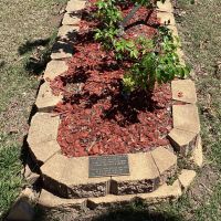 Memorial Rose Gardens