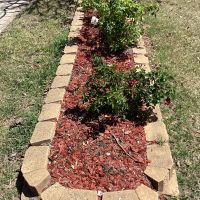 Memorial Rose Gardens