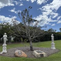 The Lone Pine Commemorative Tree