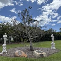 The Lone Pine Commemorative Tree