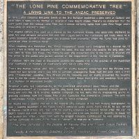 Lone Pine Plaque