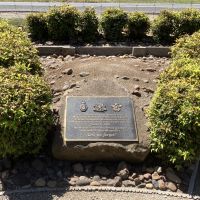 Victory In The Pacific, 60th Anniversary