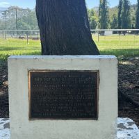 Plaque at the foot of the Lone Pine tree