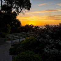 Taken during morning golden hour.