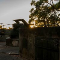 Taken during morning golden hour.