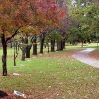 Kalamunda Stirk Park Memorial Walk Relocated Honour Avenue