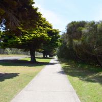 Anzac Memorial Avenue, looking north