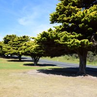 Anzac Memorial Avenue looking south
