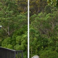Bodalla War Memorial