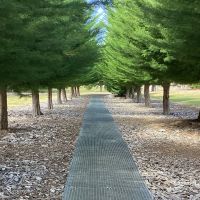 Soldier's Memorial Avenue