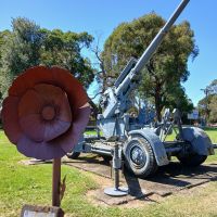 Balmoral RSL Centenary of the Armistice