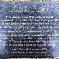 Lone Pine Plaque