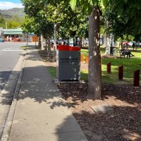 Memorial Trees (18/04/2025)