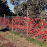 Cobar Memorial Poppy Fence