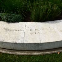 Part of the text of the John McCrae poem 'In Flanders Field'
