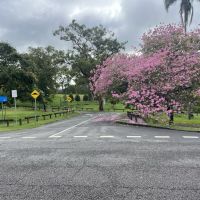 Entrance to Anzac Park