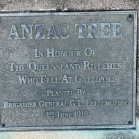Planted 3rd June 1916