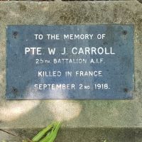 W J Carroll Memorial Plaque - Liz Williamson, 11 May 2019