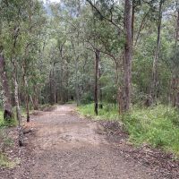 Steep Kokoda Track