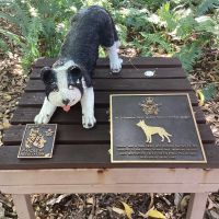RAAF Dog Handlers Association